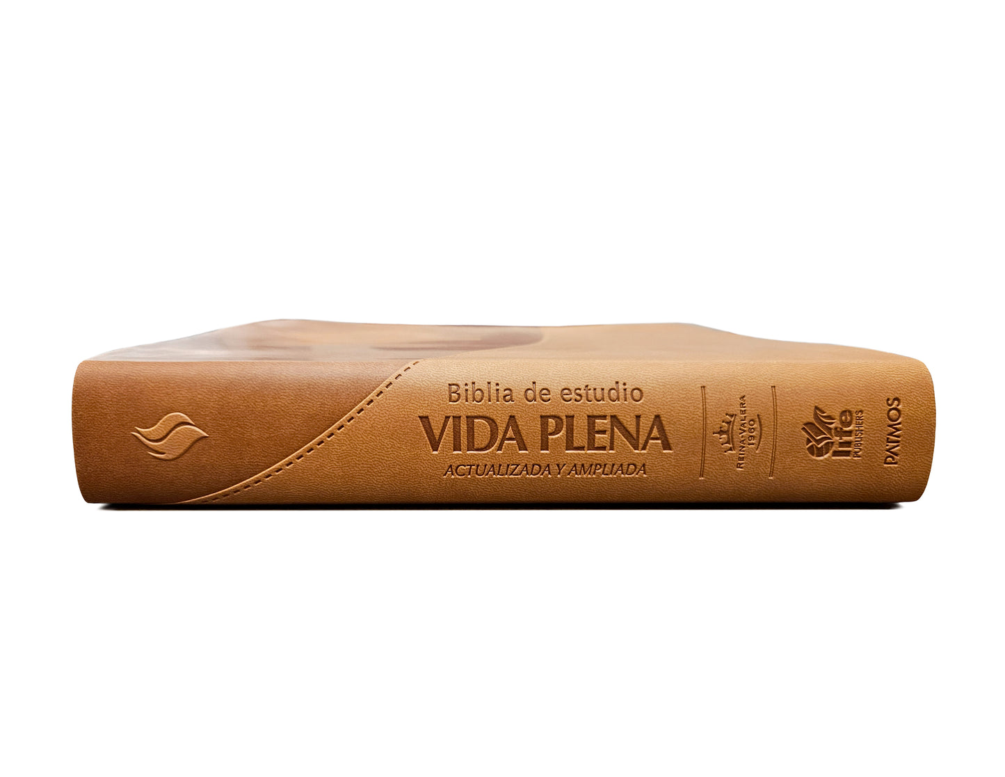 Spanish RVR 1960 (Biblia de estudio de la vida plena) - Brown