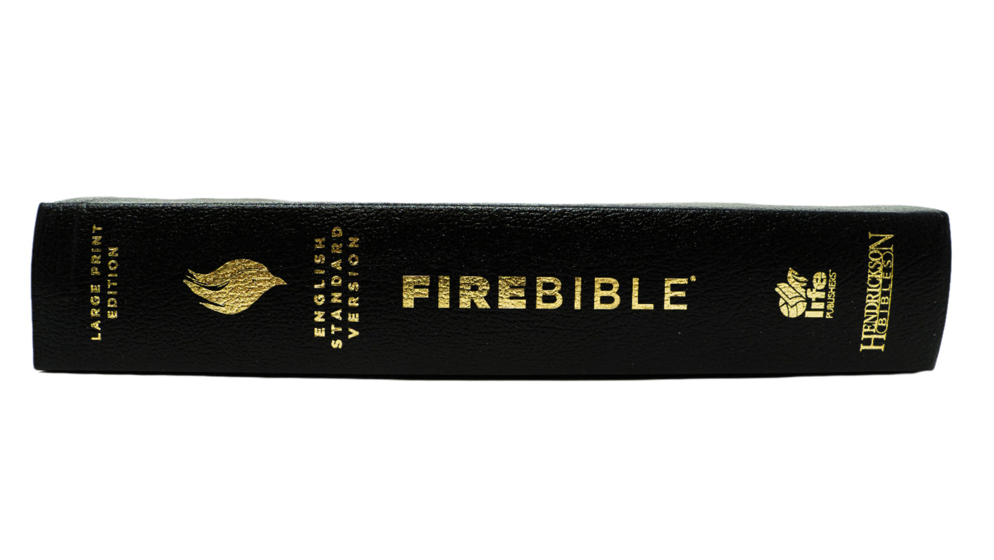 ESV - Large Print Black