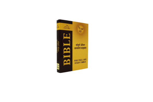 Hindi (हिन्दी) Hardcover