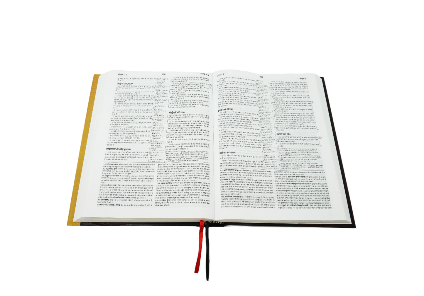 Hindi (हिन्दी) Hardcover