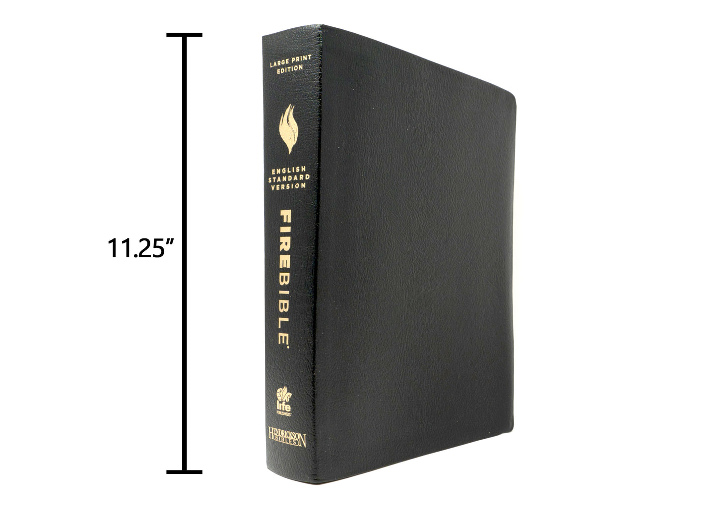 ESV - Large Print Black