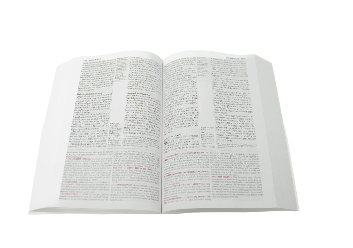 NLT - Softcover