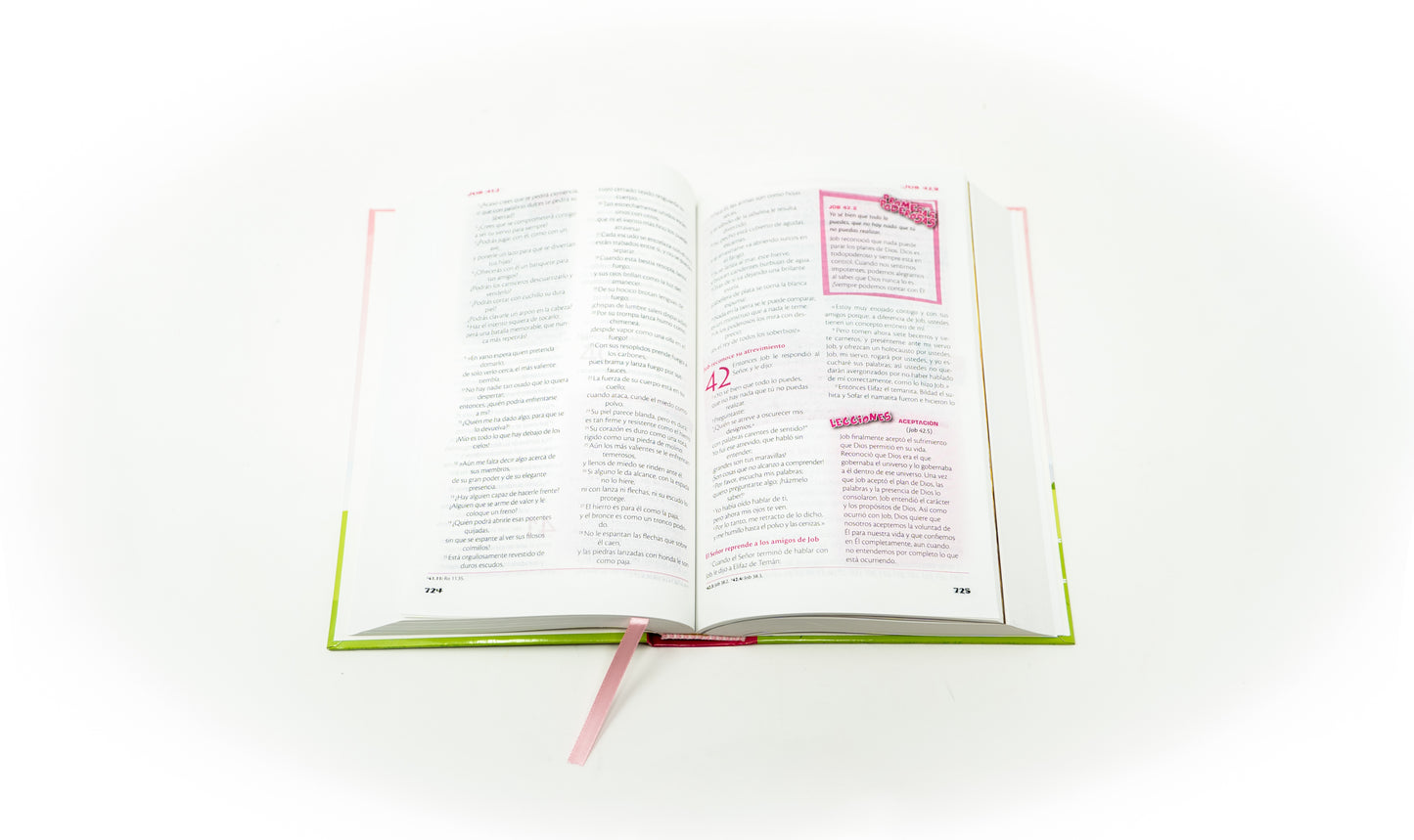 Spanish RVC FireBible for Kids (Biblia de poder para niños) - Pink