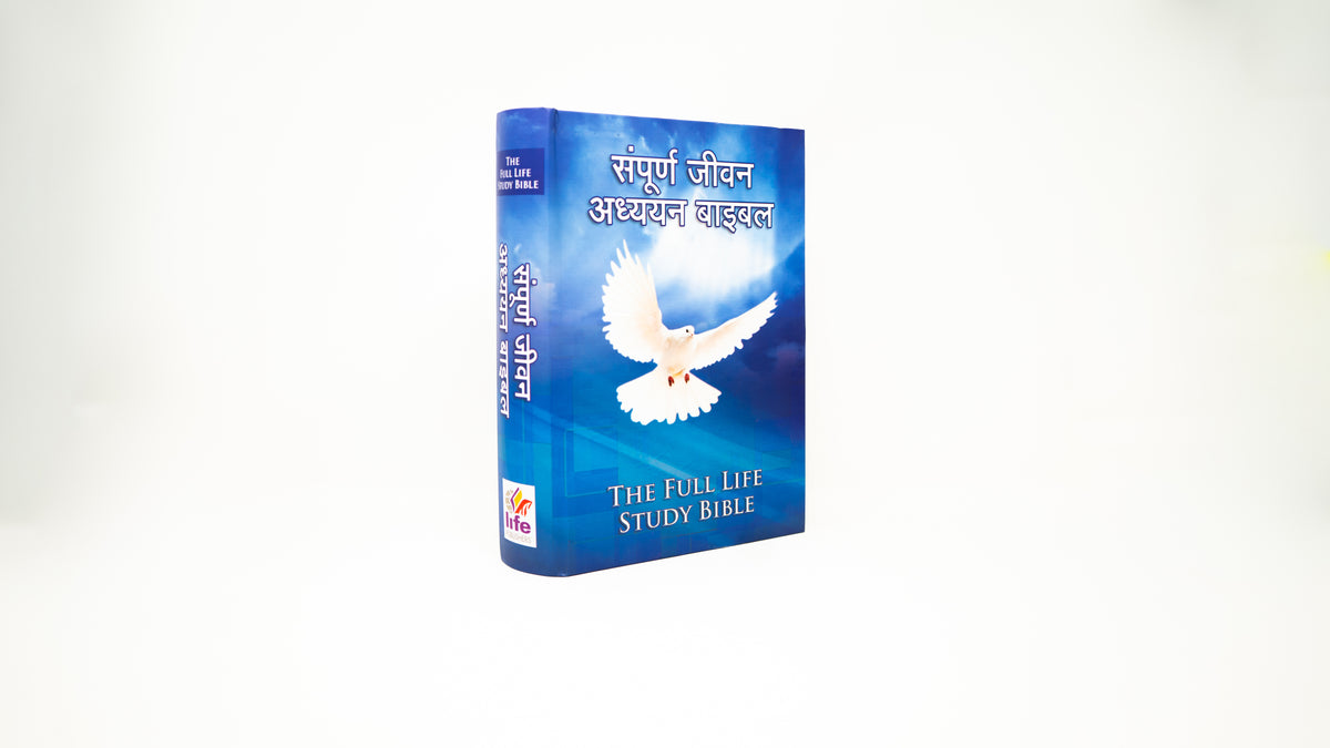 Hindi (हिन्दी) Hardcover