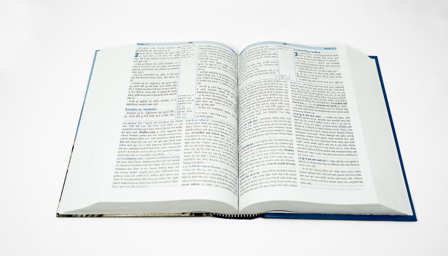 Gujarati Hardcover