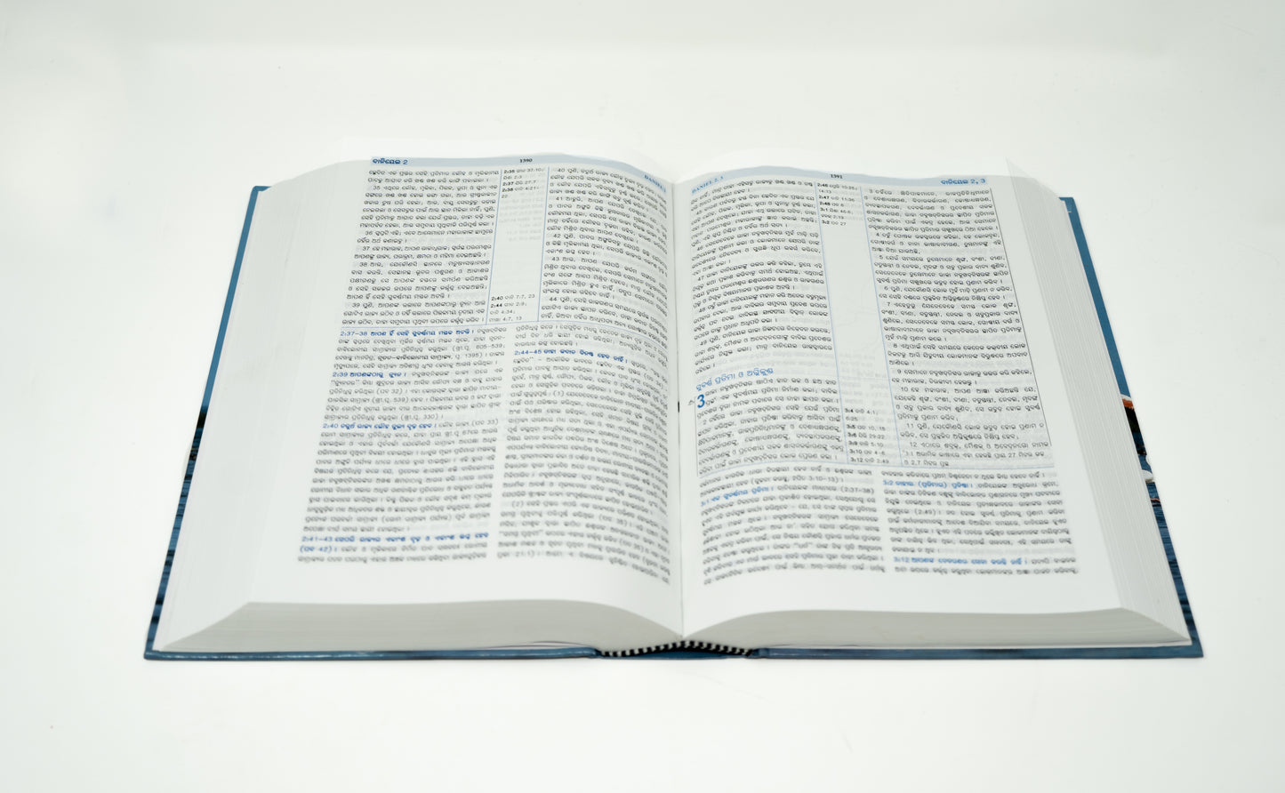 Odia Hardcover