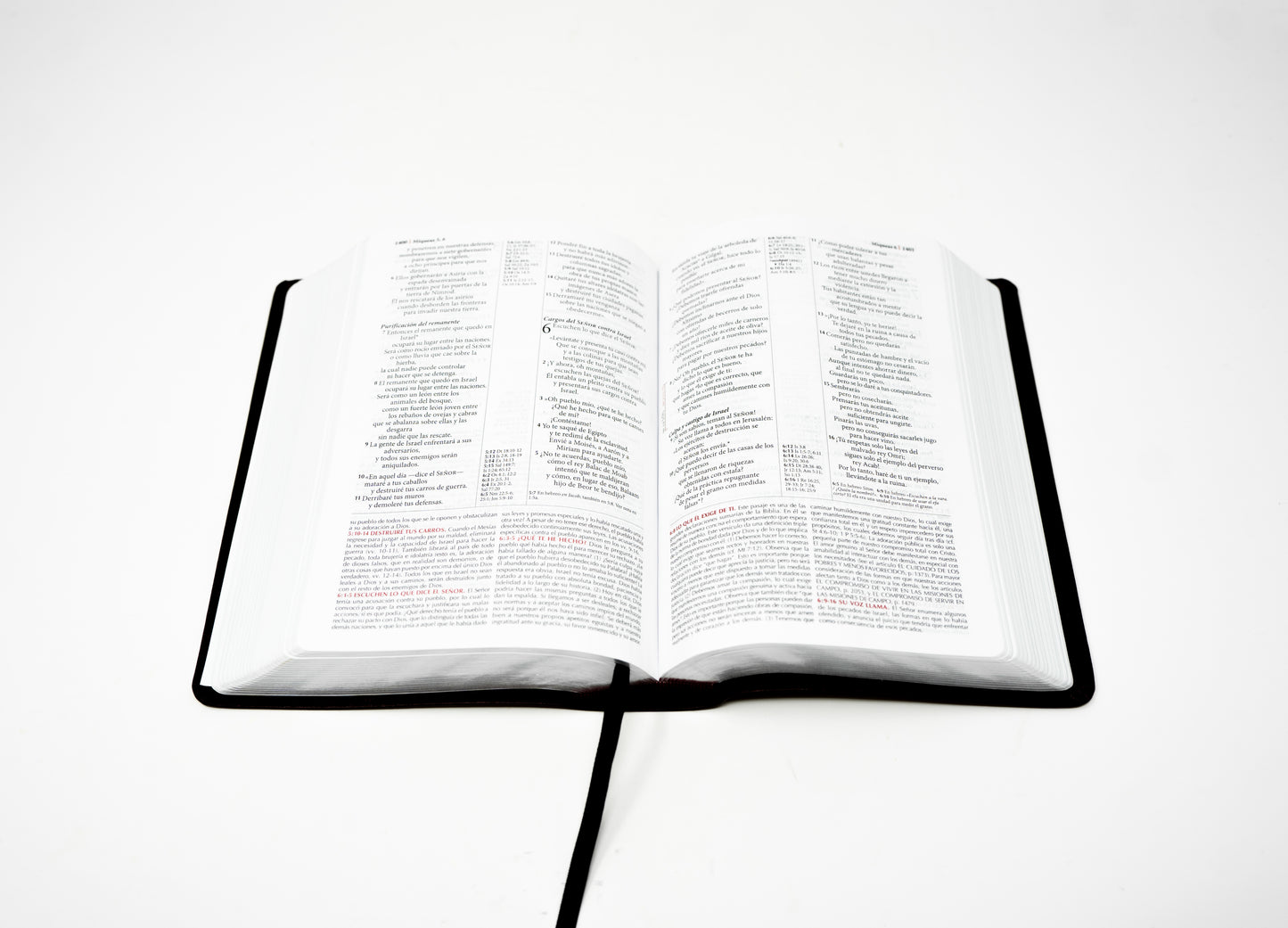 Spanish NTV Student (Biblia de estudio de la vida plena para jovenes, vino) - Wine