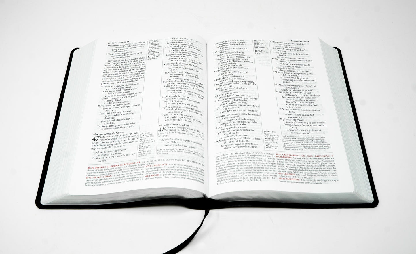 Spanish NTV (Biblia de estudio de la vida plena) - Black