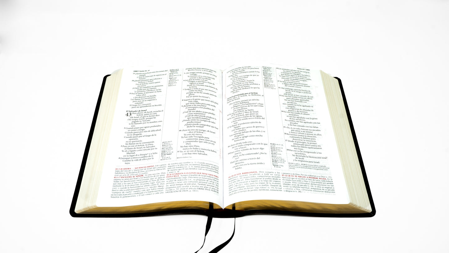 Spanish NTV (Biblia de estudio de la vida plena) - Burgundy Bonded Leather