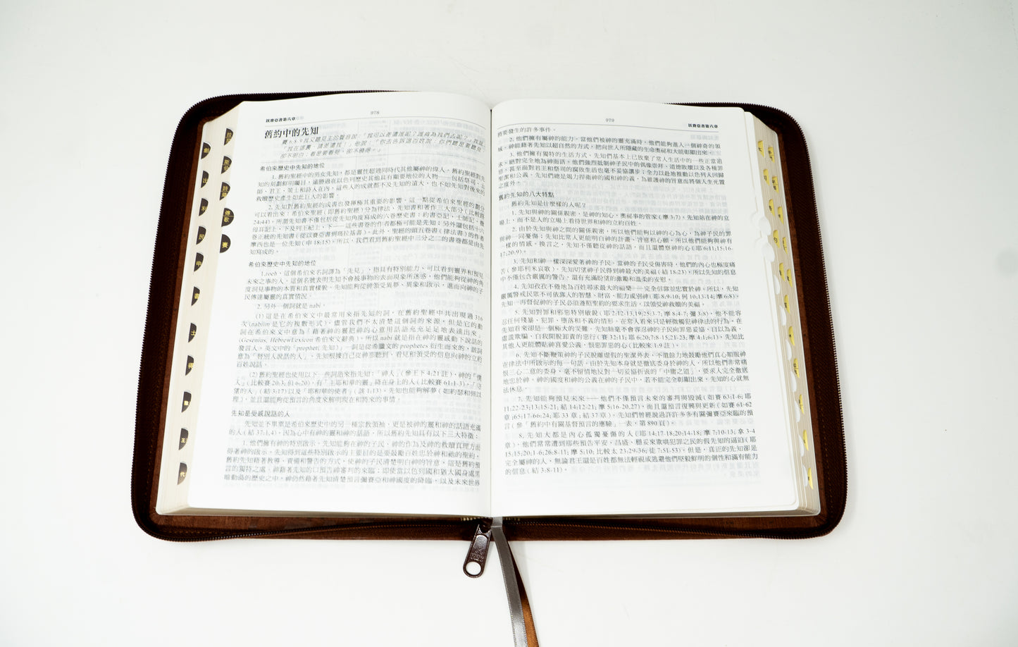 Chinese (中文) Brown w/Zipper (Traditional)