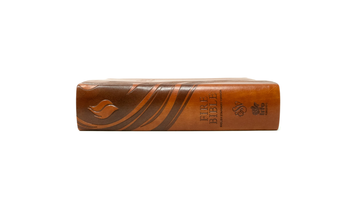 ESV - Legend