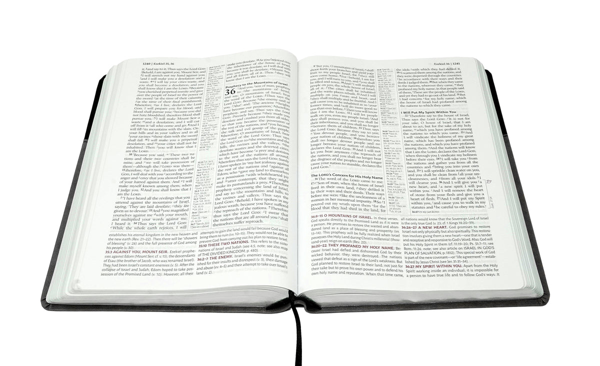 ESV - Black/Slate