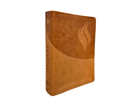 Spanish RVR 1960 (Biblia de estudio de la vida plena) - Brown