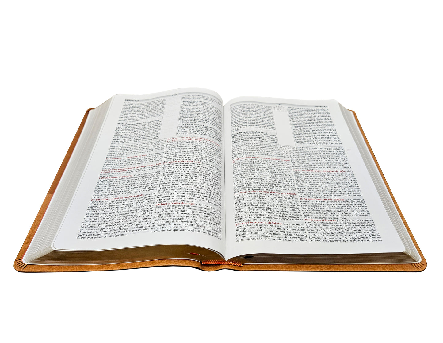 Spanish RVR 1960 (Biblia de estudio de la vida plena) - Brown