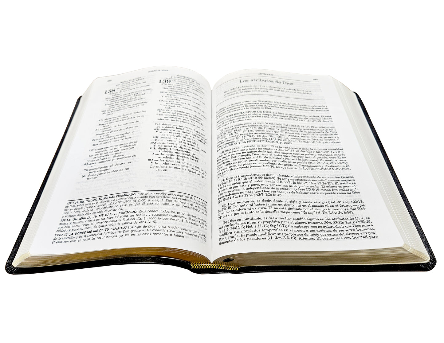 Spanish RVR 1960 (Biblia de estudio de la vida plena) - Black Bonded Leather w/ Original Design