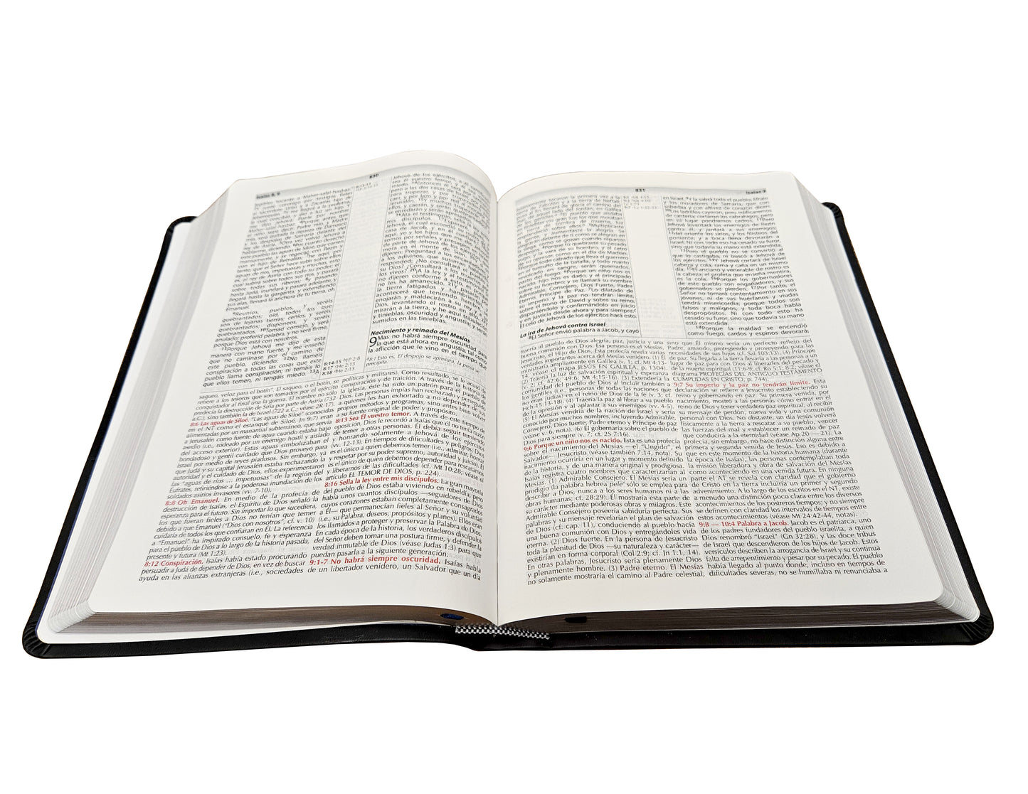 Spanish RVR 1960 (Biblia de estudio de la vida plena) - Black