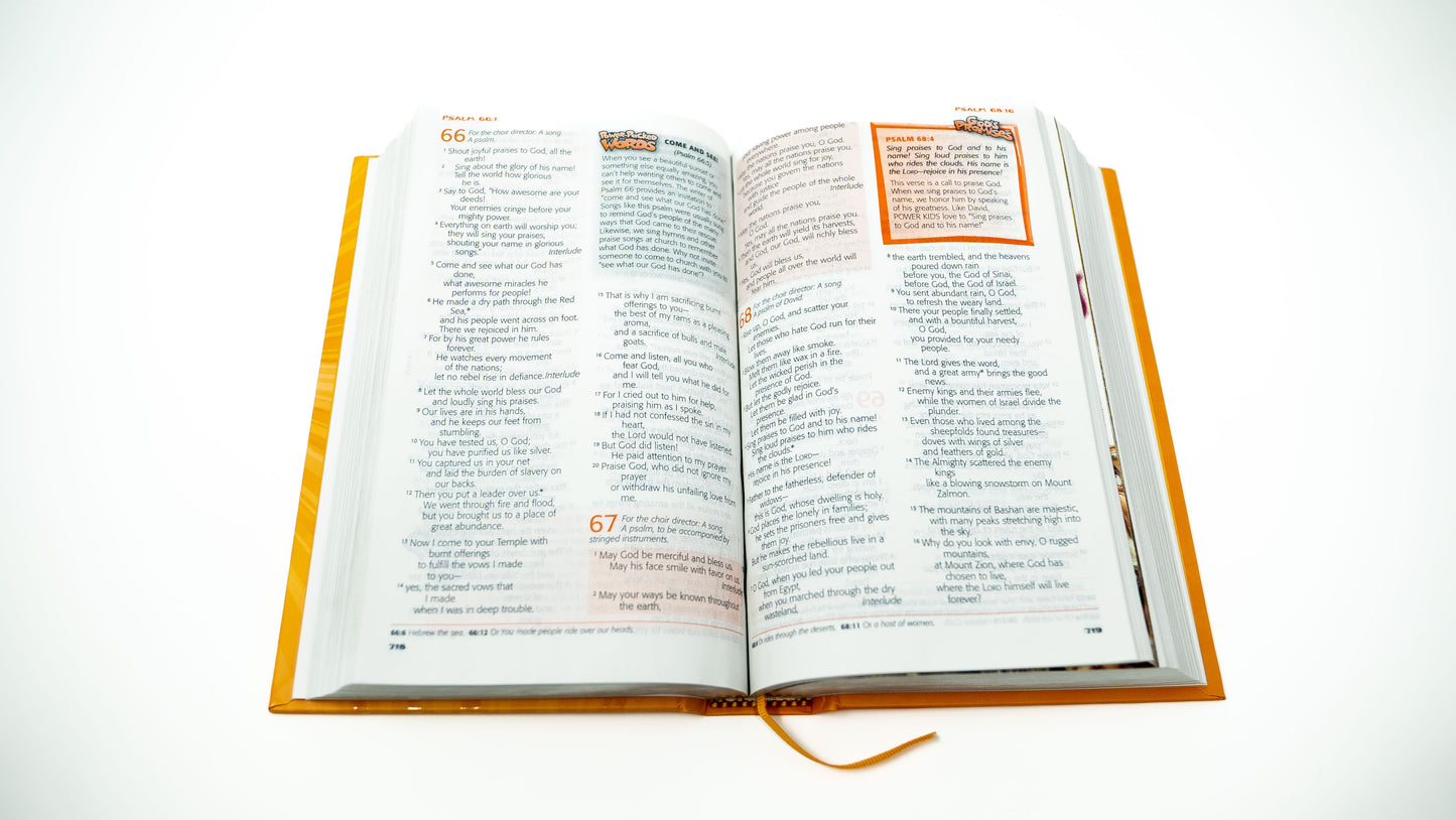 NLT FireBible for Kids - Hardcover (Slightly Imperfect Edition)