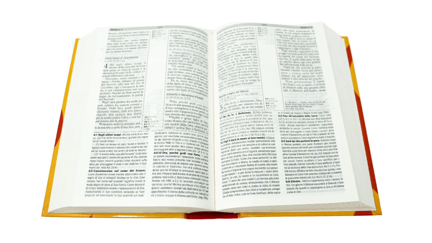 Italian (Italiano) Hardcover