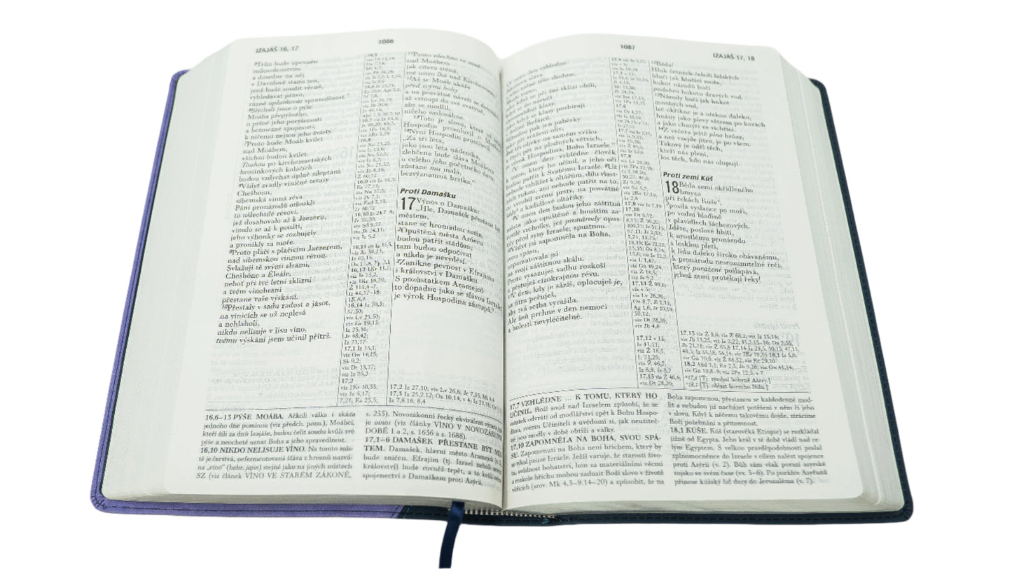 Czech (český) Blue/Purple Duo