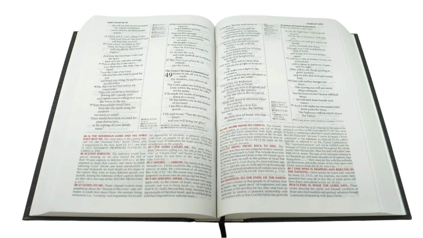 NLT - Hardcover