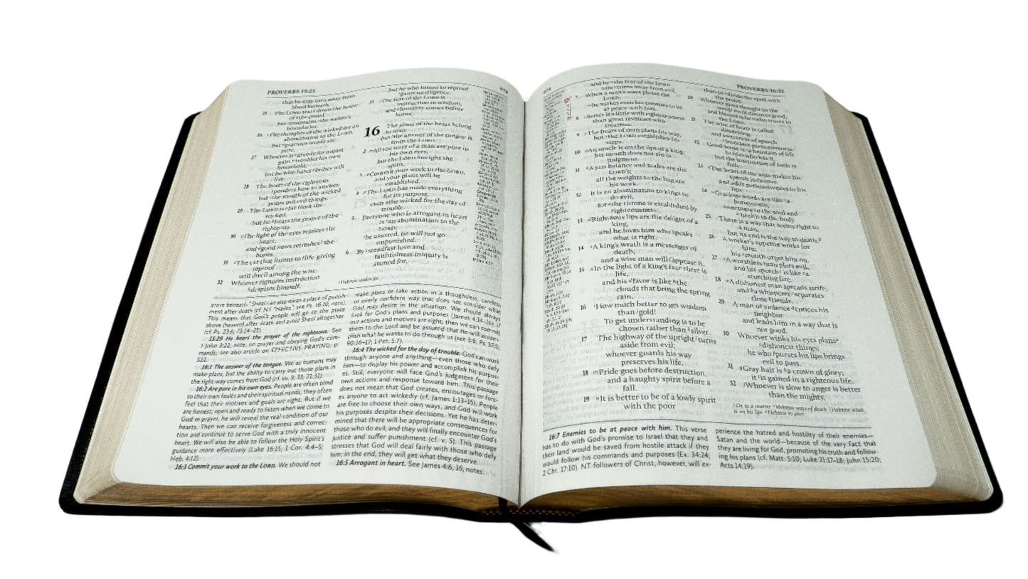 ESV - Large Print Black