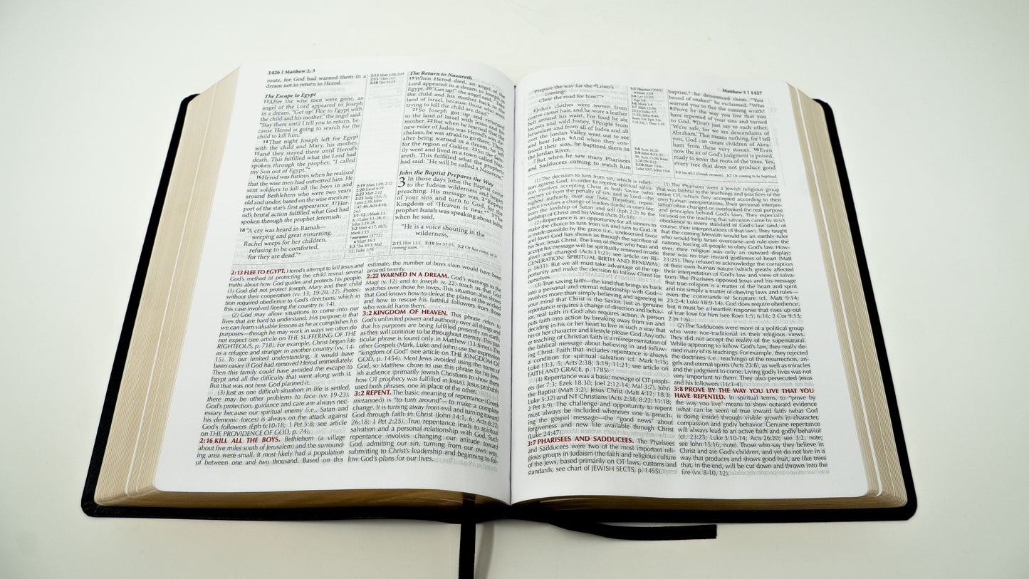 NLT - Bonded Leather