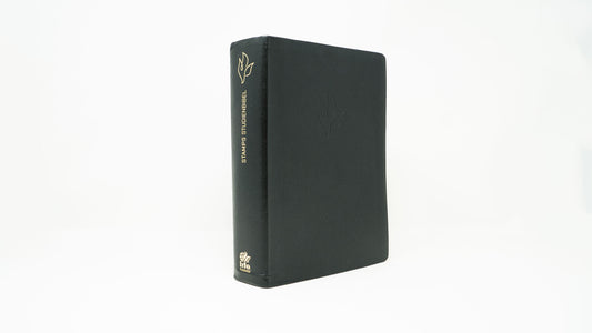 Alemán (Deutsche) Negro