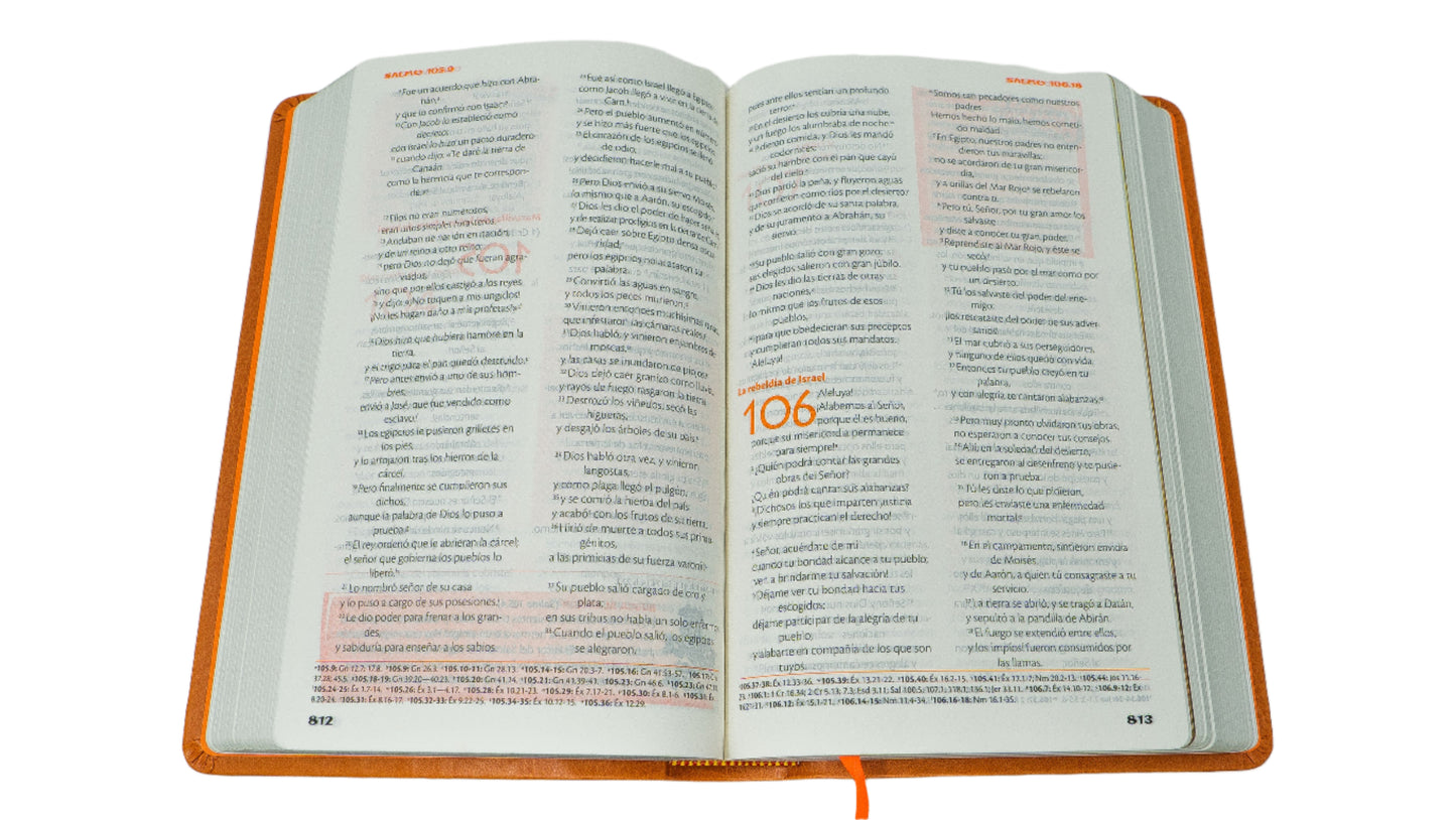 Spanish RVC FireBible for Kids (Biblia de poder para niños) - Orange Flex