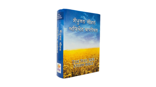 Punjabi (ਪੰਜਾਬੀ) Hardcover