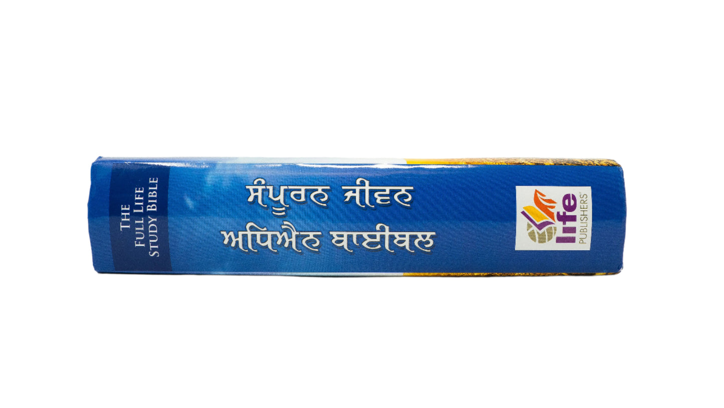 Punjabi (ਪੰਜਾਬੀ) Hardcover