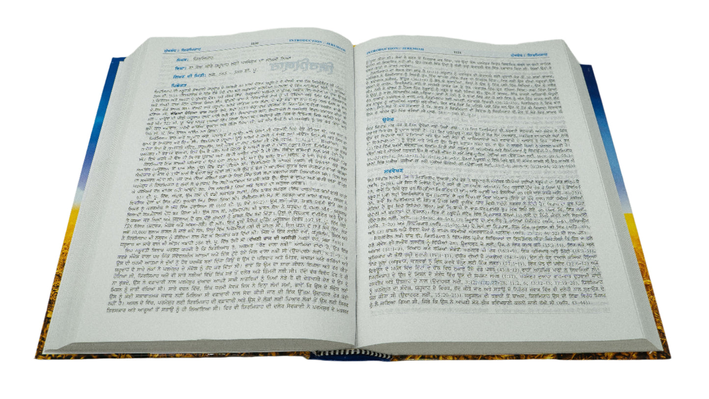 Punjabi (ਪੰਜਾਬੀ) Hardcover