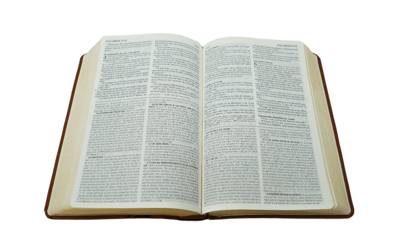 Spanish RVR 1960 Student (Biblia de estudio de la vida plena para jóvenes, marrón) - Brown