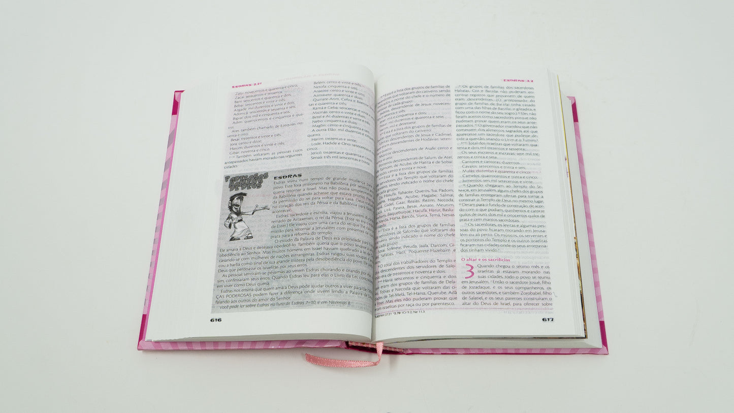 Portuguese FireBible for Kids Pink