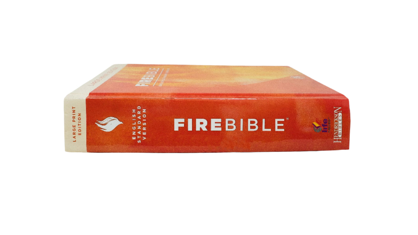 ESV - Large Print Hardcover