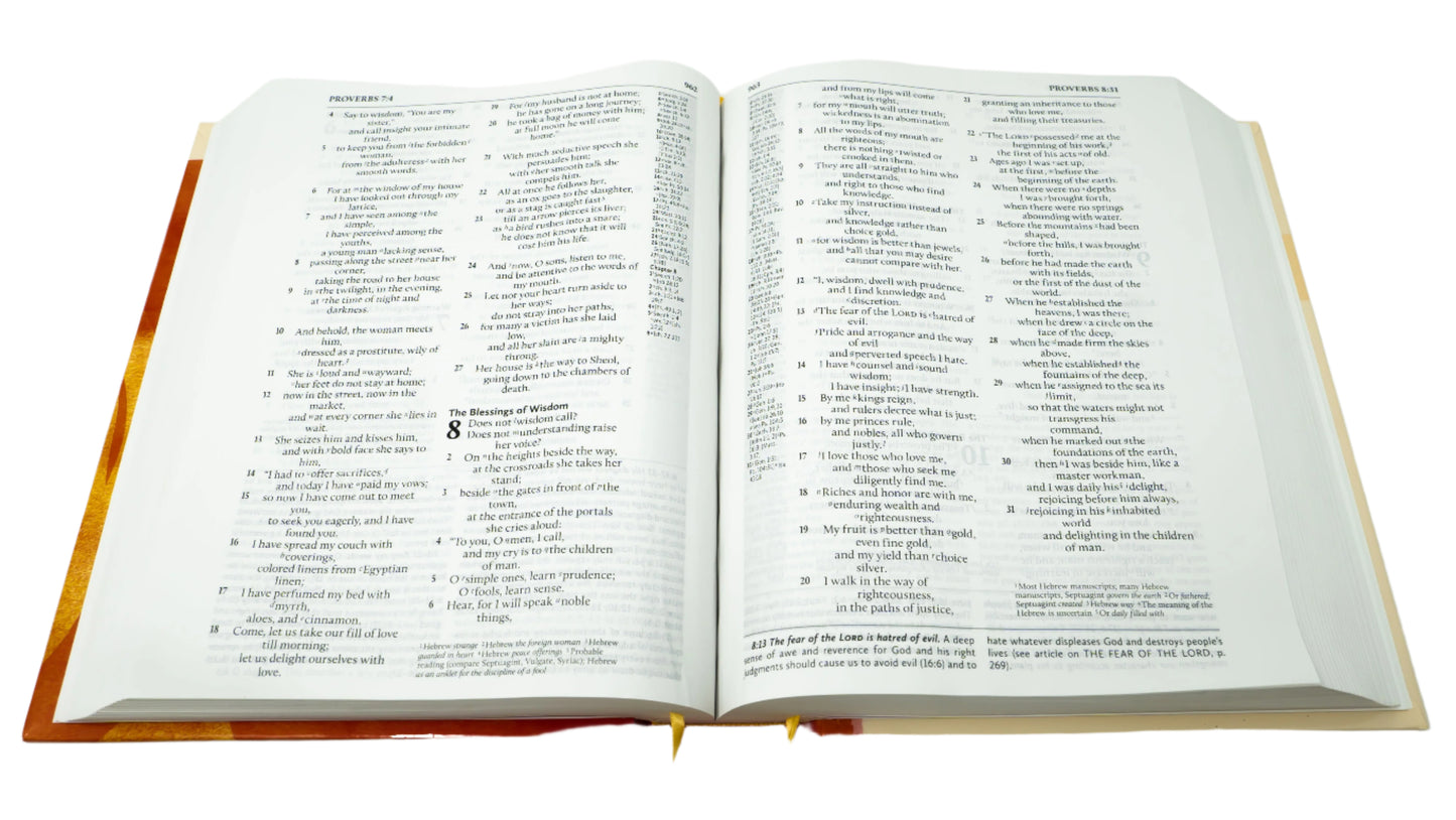 ESV - Large Print Hardcover