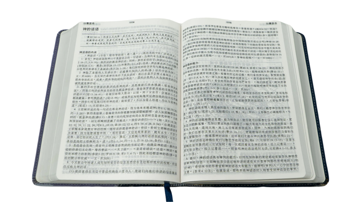 Chinese (中文) Blue/Purple Duo (Simplified)