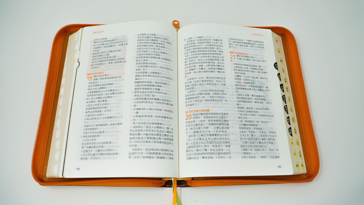 Chinese FireBible for Kids (中文) Orange w/Zipper (Traditional)