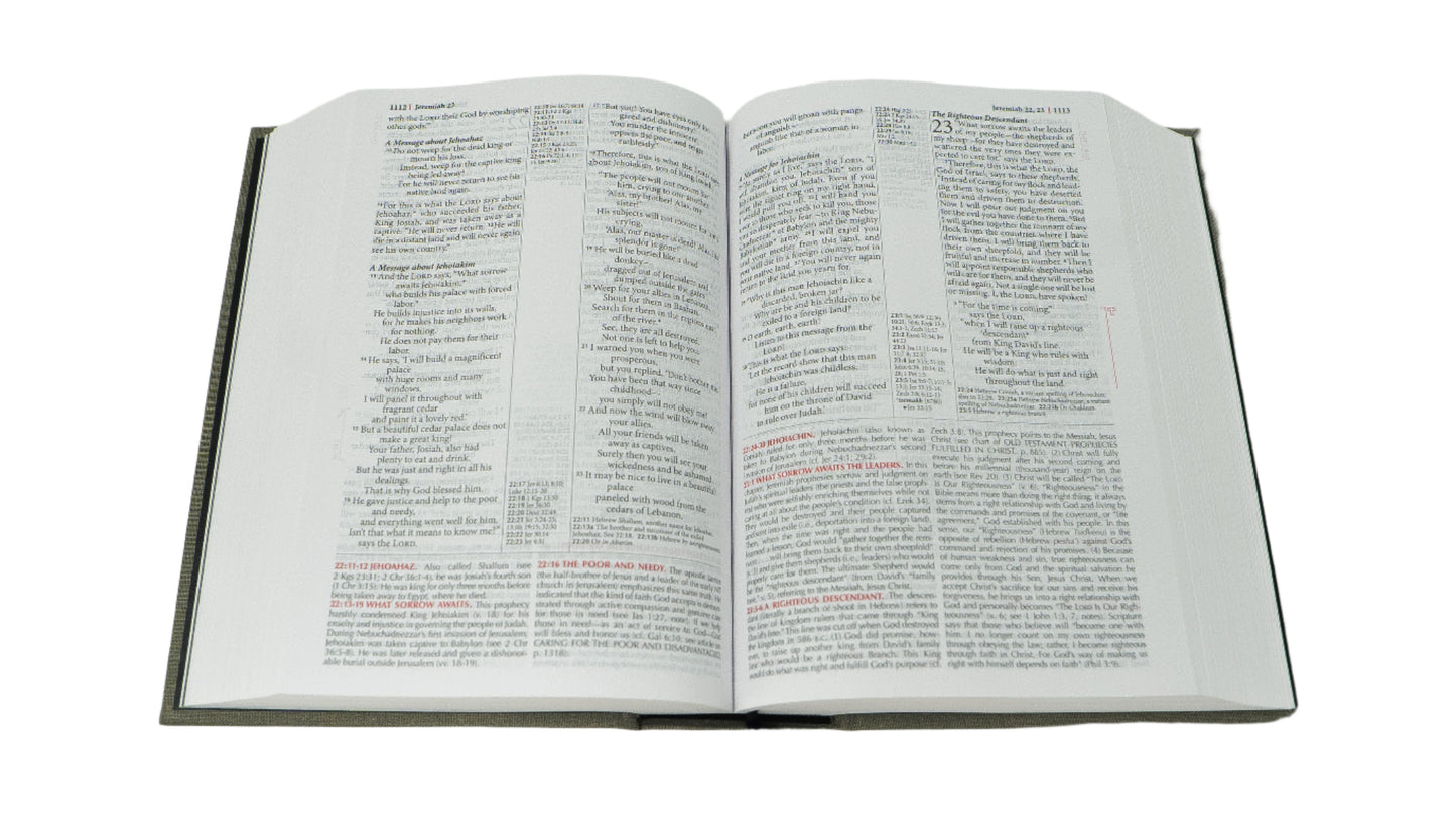 NLT Youth Alive - Hardcover