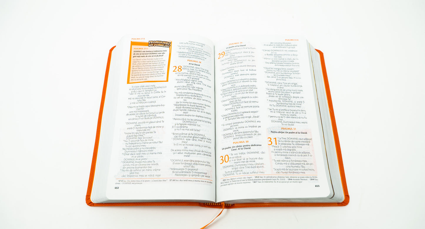 Romanian FireBible for Kids Orange