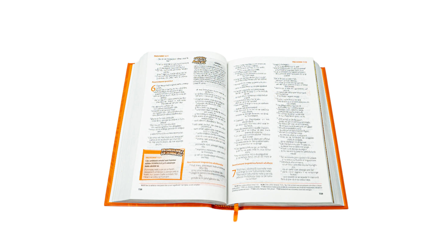 Romanian FireBible for Kids Hardcover