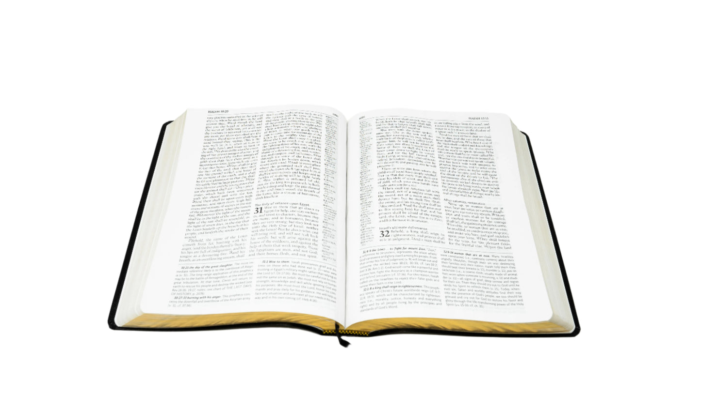 KJV - Large Print Black