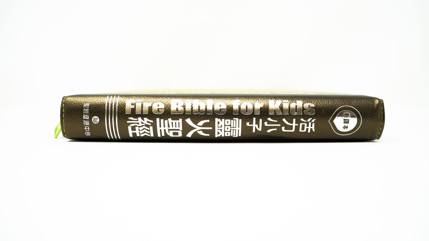 Chinese FireBible for Kids (中文) Green w/Zipper (Traditional)