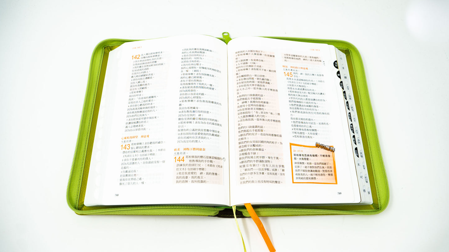 Chinese FireBible for Kids (中文) Green w/Zipper (Traditional)