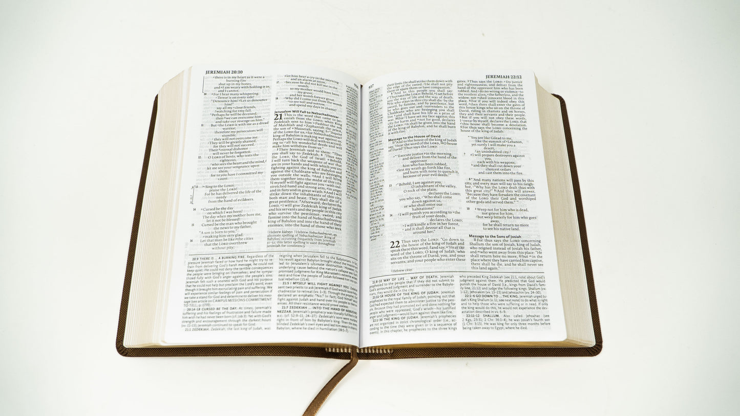 ESV Student - Brown/Chestnut