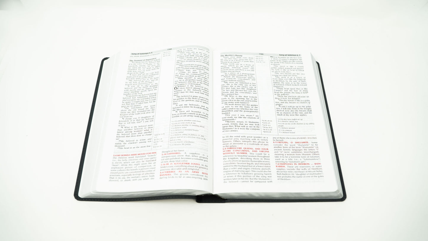 KJV - Gray
