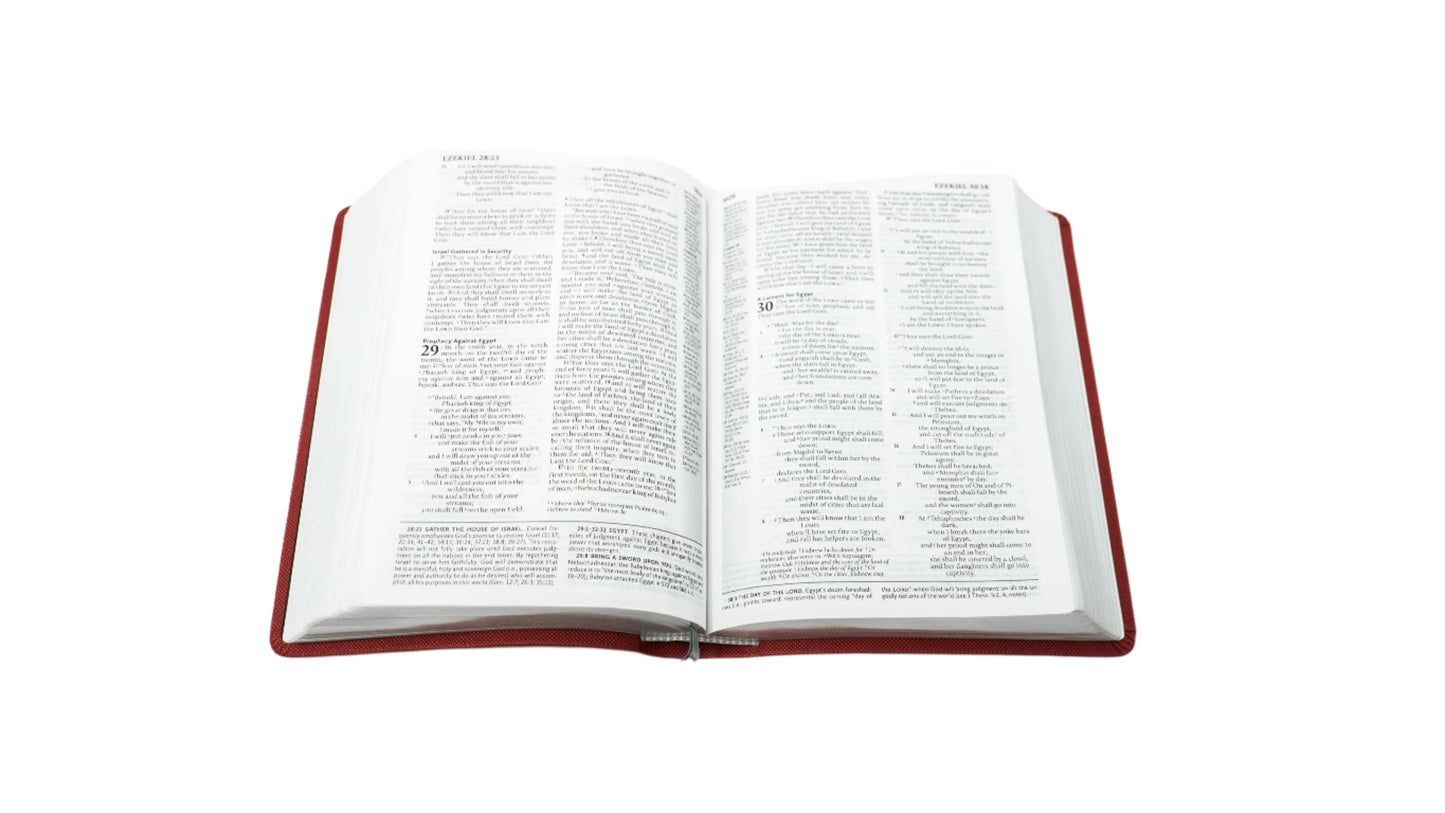 ESV Student - Brick Red/Plum